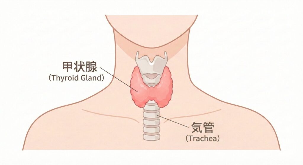 辻井はやし内科の「内科」画像